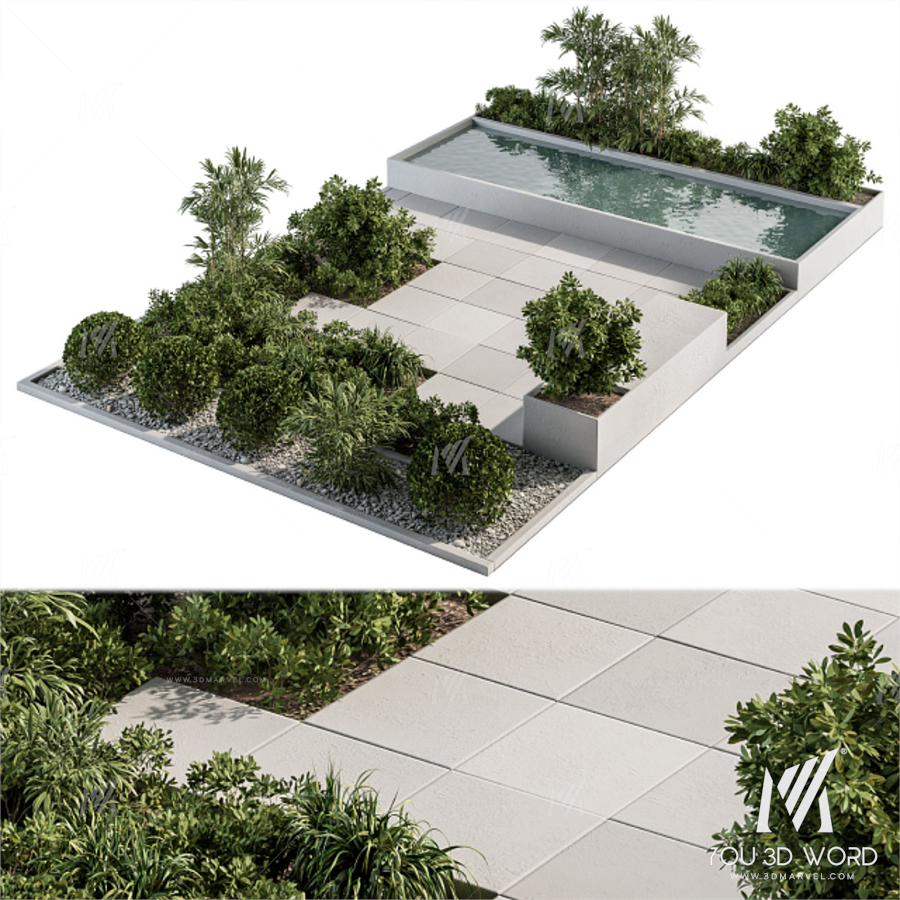 Backyard and Landscape